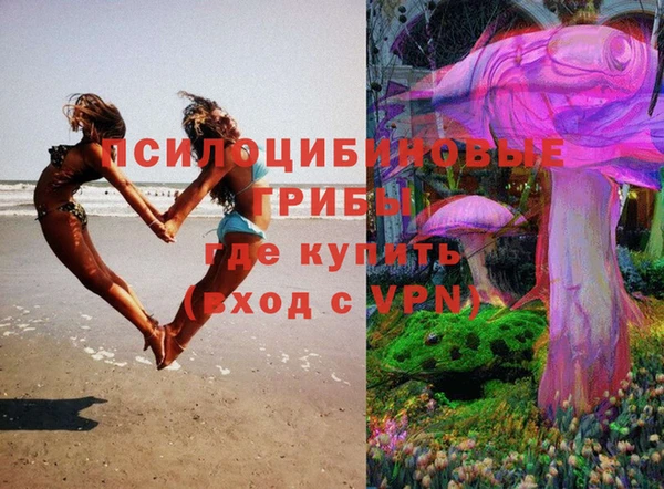 гашик Апатиты