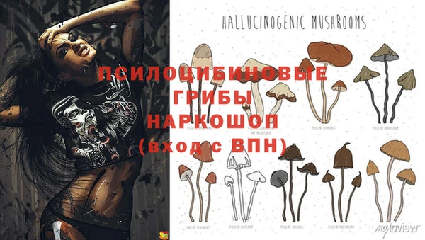 таблы Нея
