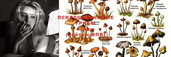 дживик Михайловка