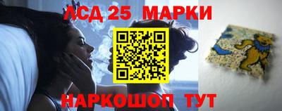 СК Бийск