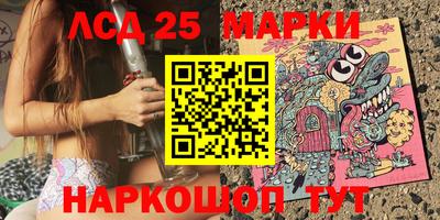 СК Бийск