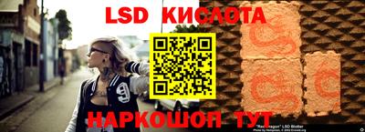 СК Бийск