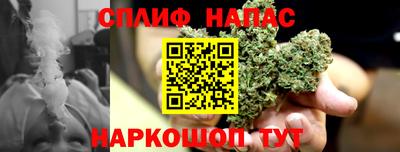 СК Бийск