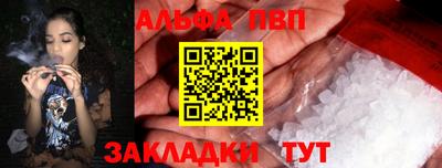 СК Бийск