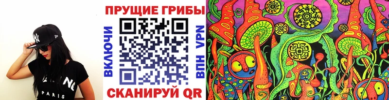 Псилоцибиновые грибы мицелий  купить закладку  blacksprut сайт  Каменка 