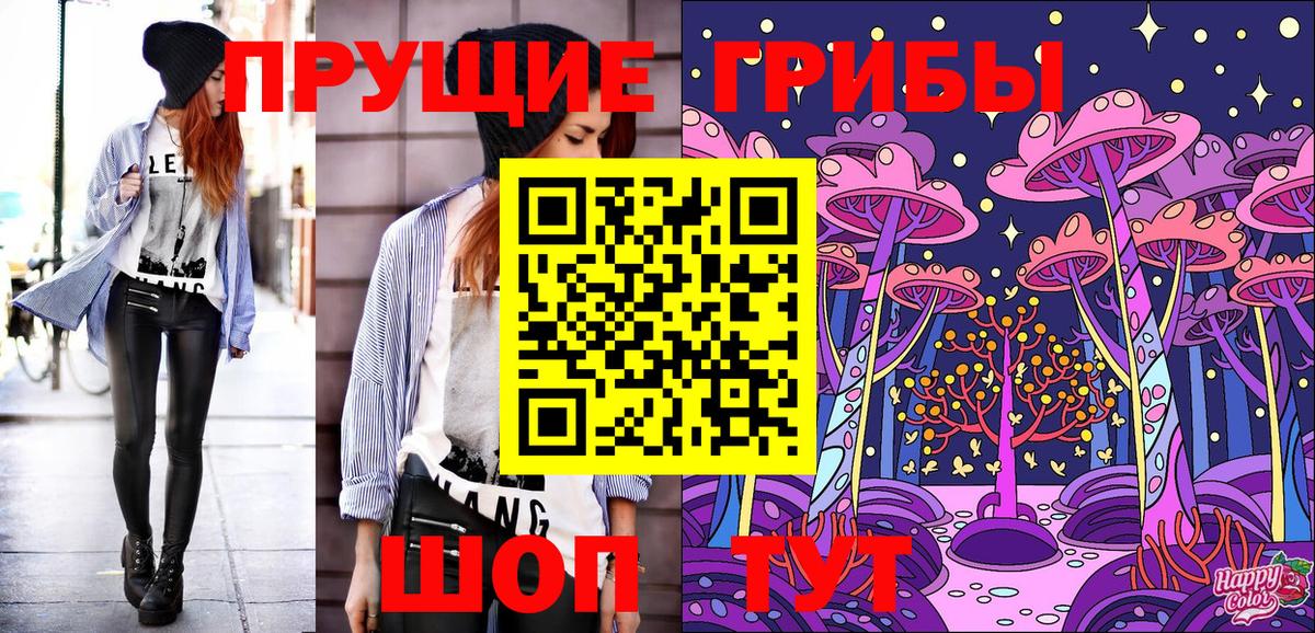 Галлюциногенные грибы ЛСД  Псилоцибиновые грибы мухоморы  Каменка 