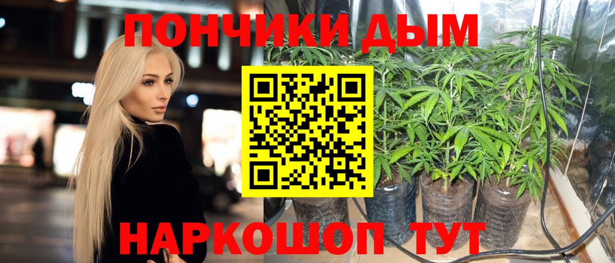 Каннабис SATIVA & INDICA Каменка